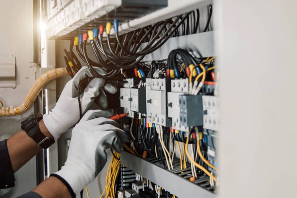 Best Electric Panel Repair  in Verona Walk, FL